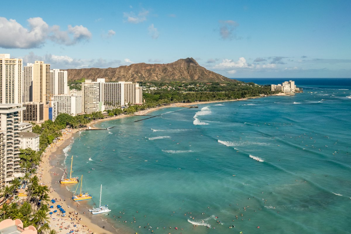 Palm-lined Hawaiian shoreline